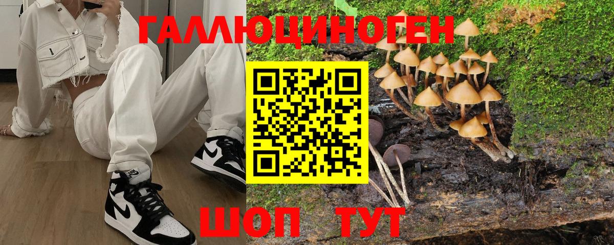 Галлюциногенные грибы MAGIC MUSHROOMS Раменское